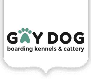 gay dog kennels|dog boarding kennels portsmouth.